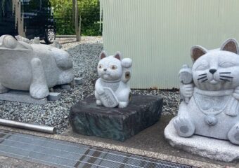 養父市　I様　親子蛙
